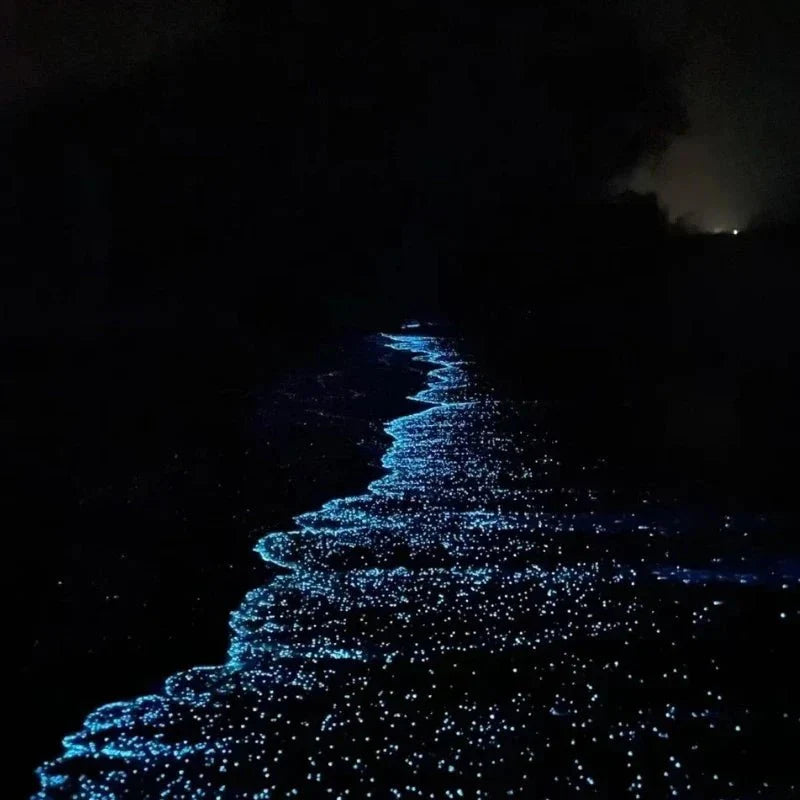 GlowPebbles™ Luminous Stones